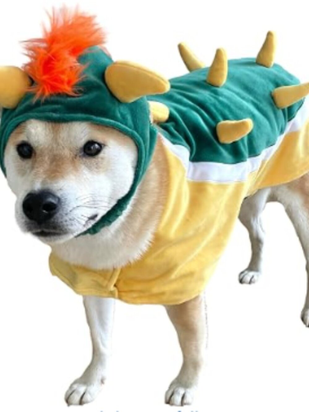 Dog Bowser Costume Size M